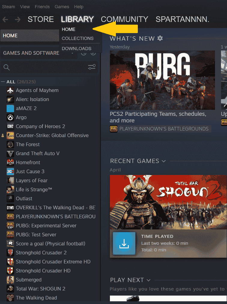 Steam library games Buying Tips & Tricks