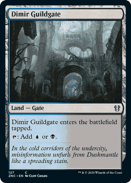 Dimir Guildgate