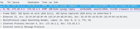 BGP MPLS Captured Traffic