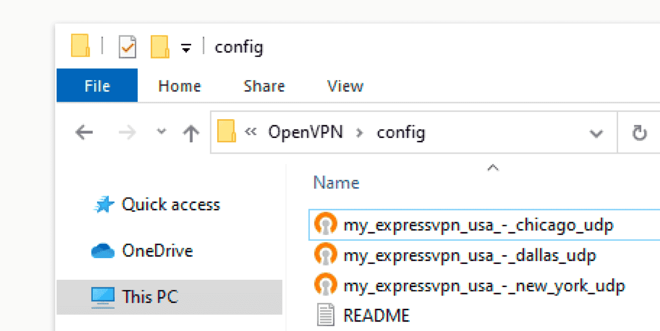 Move the OpenVPN configuration files you obtained earlier into the “config” folder.