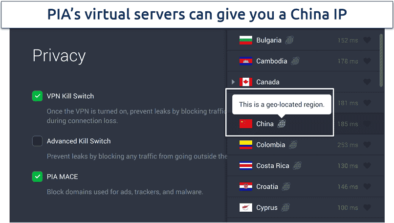 Screenshot of PIA's privacy settings and virtual servers in the app