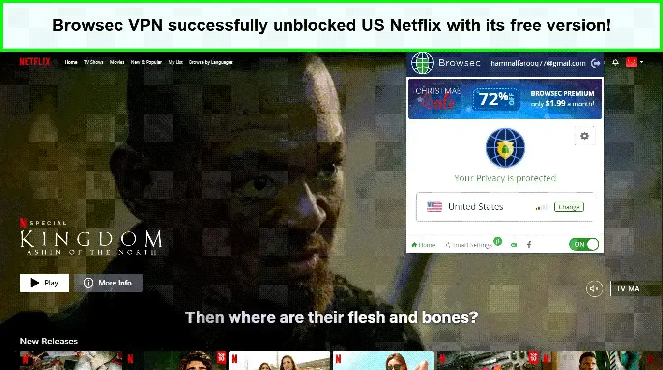 browsec-vpn-unblocked-us-netflix-in-USA