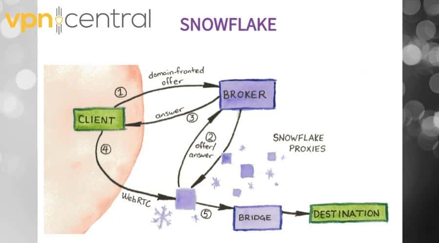 snoflake project proxies