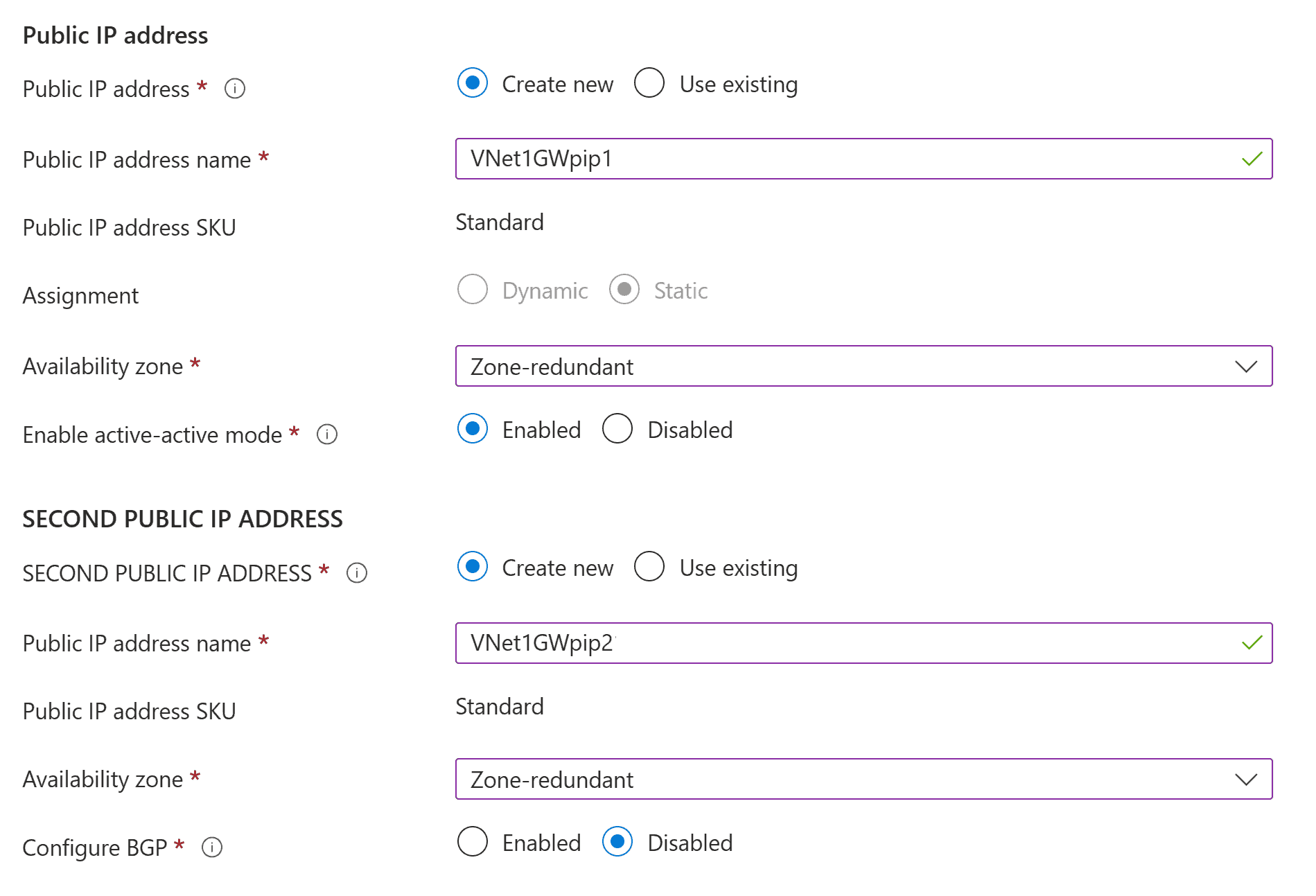 Screenshot that shows the Public IP address field.