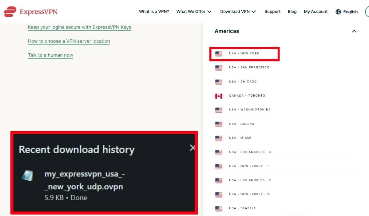 The OPVN file that from USA - New York server on ExpressVPN