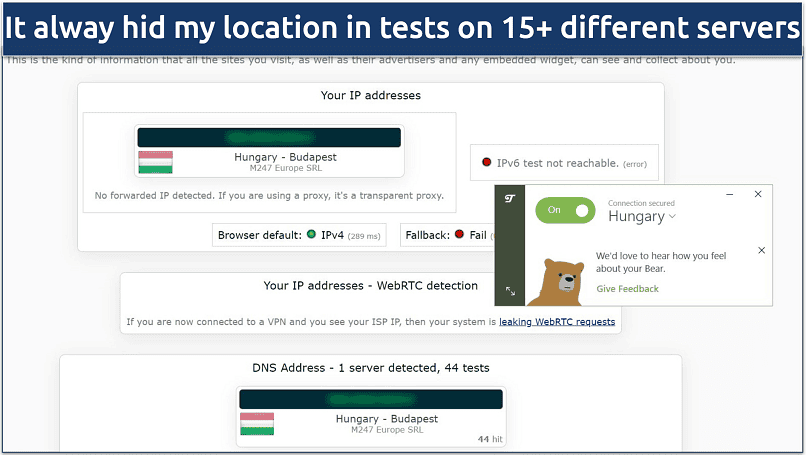 A screenshot showing TunnelBear passed DNS, IP leak, and WebRTC tests