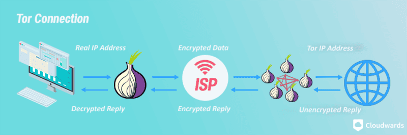 Best VPN for Tor 2024 [Maximum Privacy Through the Tor Network]