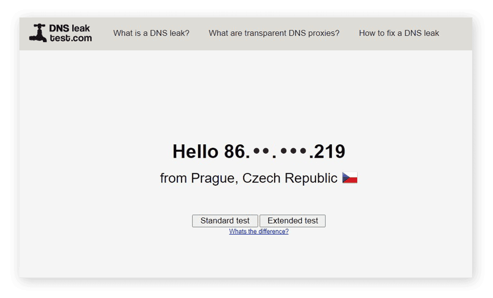 Checking one's IP address and DNS information with DNSLeakTest