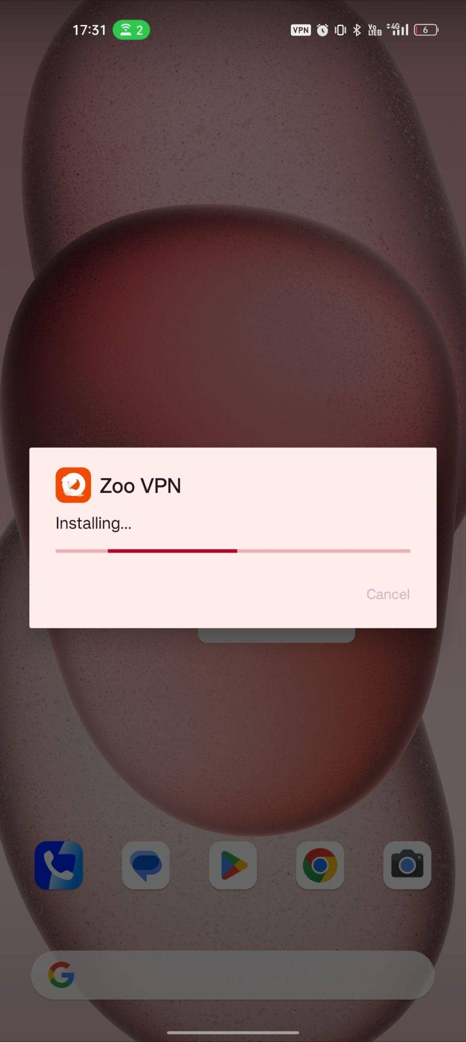 Instalación de la aplicación Zoo VPN