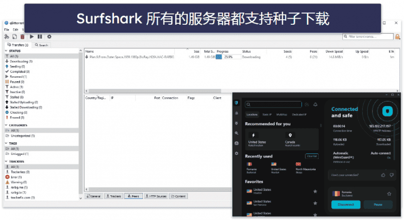 Surfshark 种子下载性能