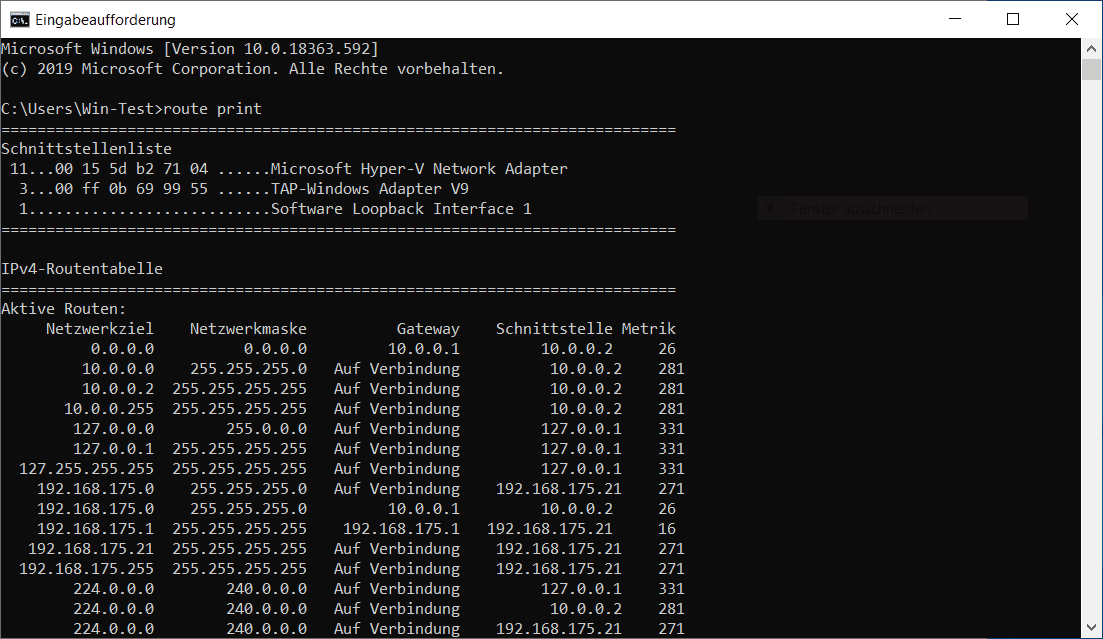 SSL-VPN Routen.PNG