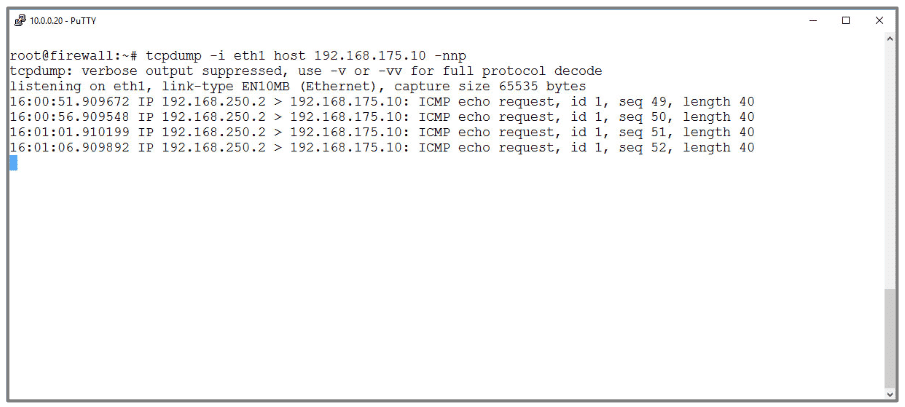 Tcpdump eth1-icmp-echo.png