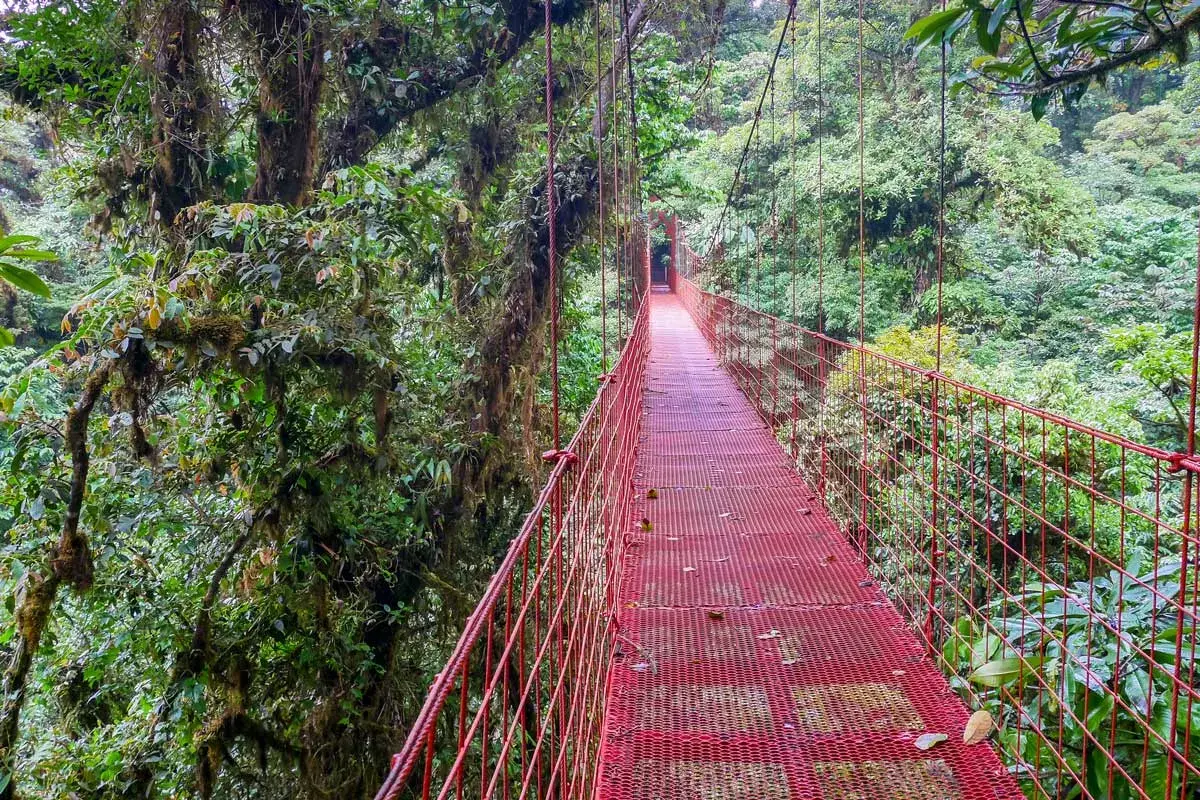 The Wilford Guindon at Monteverde Cloud Forest Reserve in Monteverde, Costa Rica