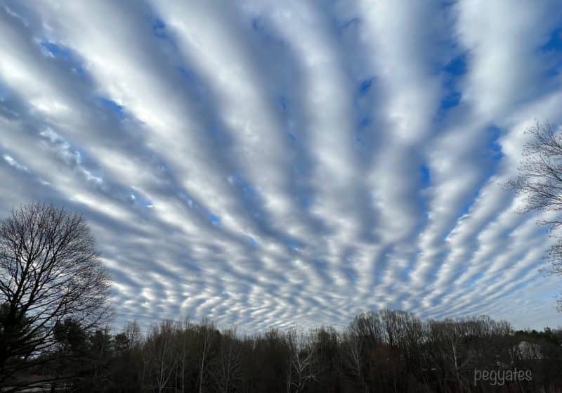 Undulatus clouds look like wavy rows