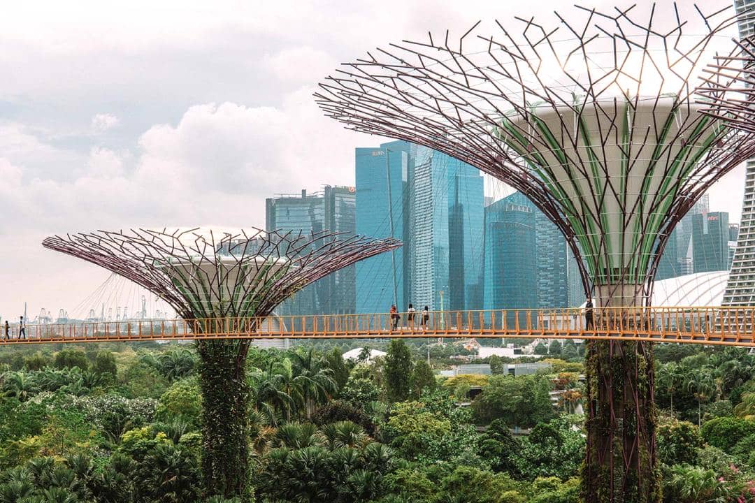 Singapore Gardens by the Bay blog