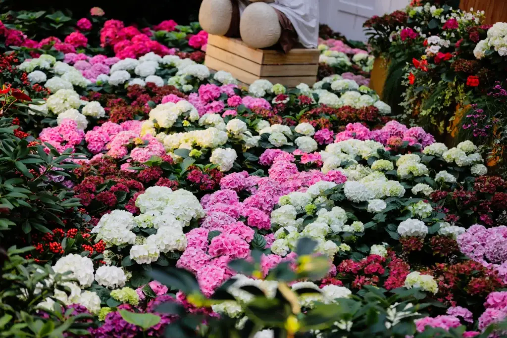 flower dome jardins de la baie visite