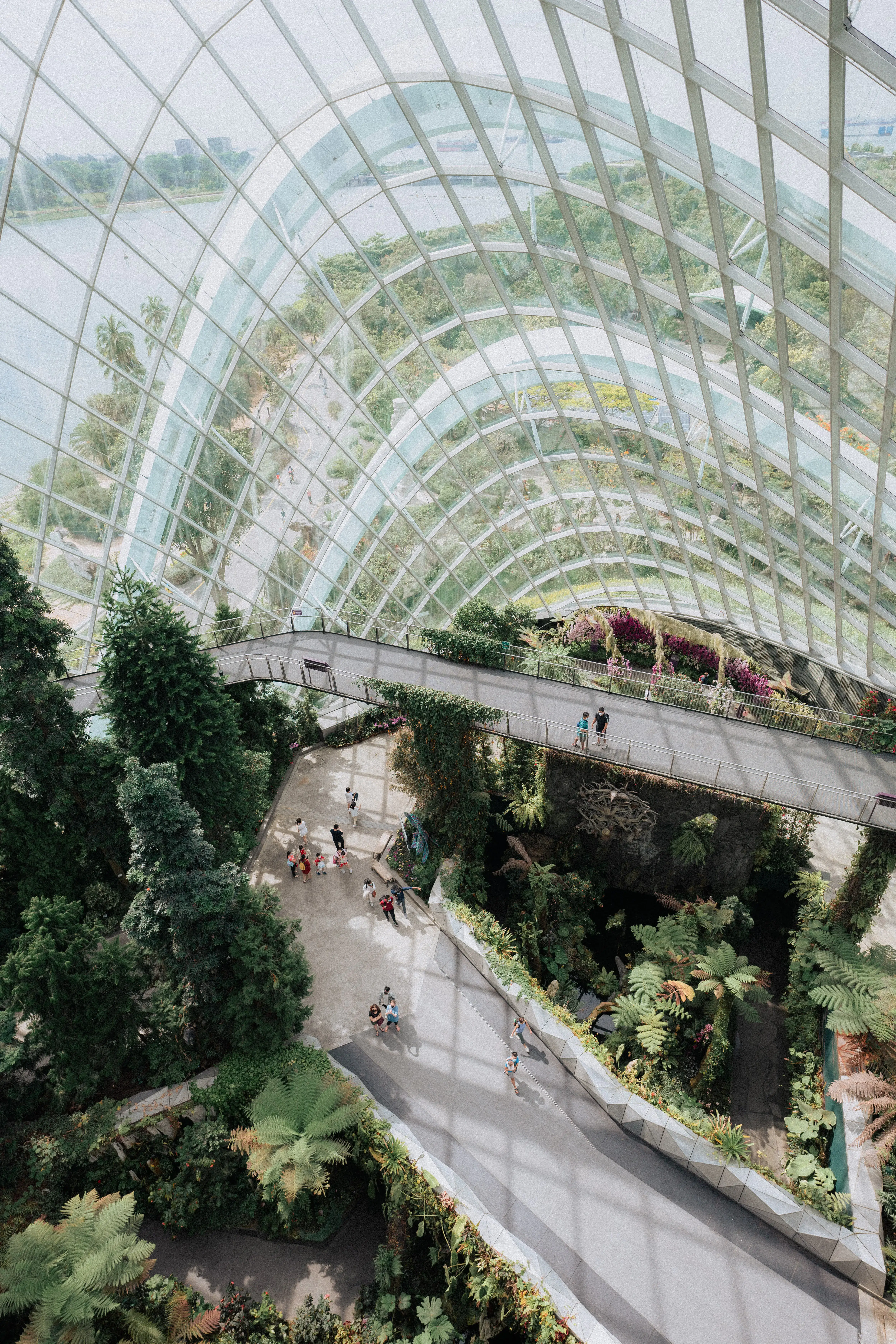 cloud forest gardens singapour