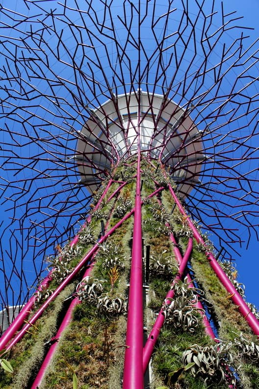 Gardens by the Bay / Grant Associates - Image 21 of 28