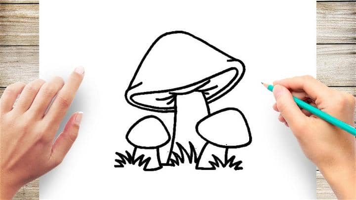 Little Mushroom Drawing