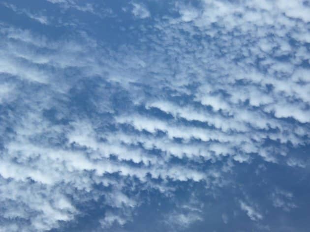 puffy  cloud in lines with blue sky