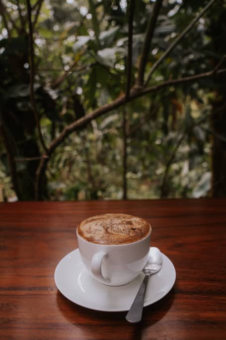 coffee in white cup on wood surface at Monteverde Cloud Forest Biological Preserve