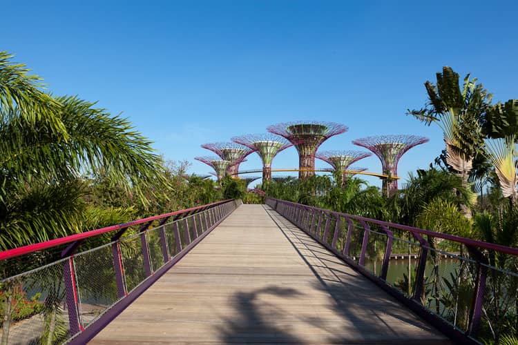 Gardens by the Bay / Grant Associates - Image 19 of 28