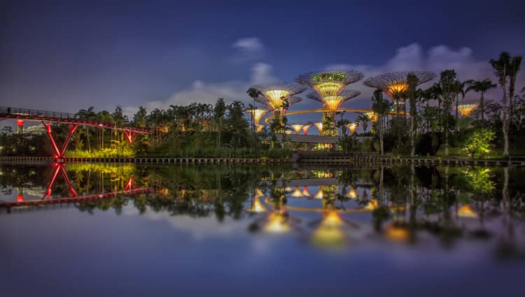 Gardens by the Bay / Grant Associates - Image 23 of 28