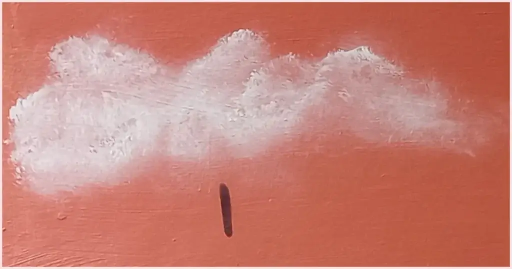 A white fluffy cloud painted on a flamingo pink canvas using a mop paintbrush.