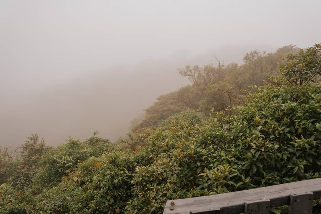 misty clouds with greenery from the observation deck at Monteverde Cloud Forest reserve