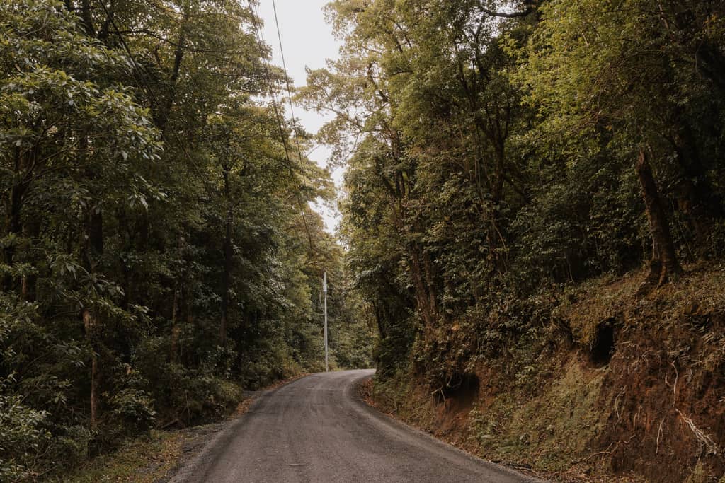 well-groomed road leading to Monteverde Cloud Forest Biological Preserve with rainforest on each side