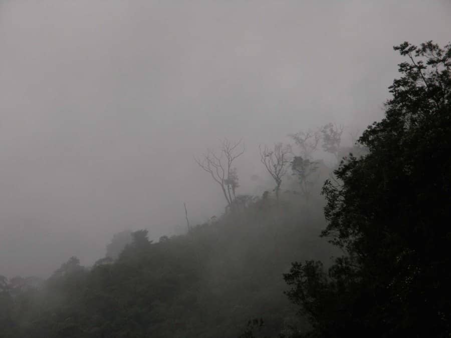 Cloud forest in Lagunas de Montebello National Park in Chiapas, Mexico. Lon&Queta, Flickr