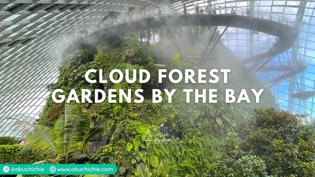 Pengalaman Main ke Cloud Forest Singapura