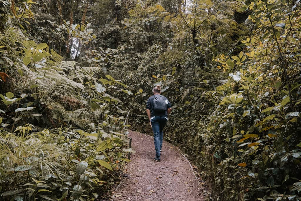 man with day bag climbing a steep trail in the Monteverde Cloud Forest Biological Preserve