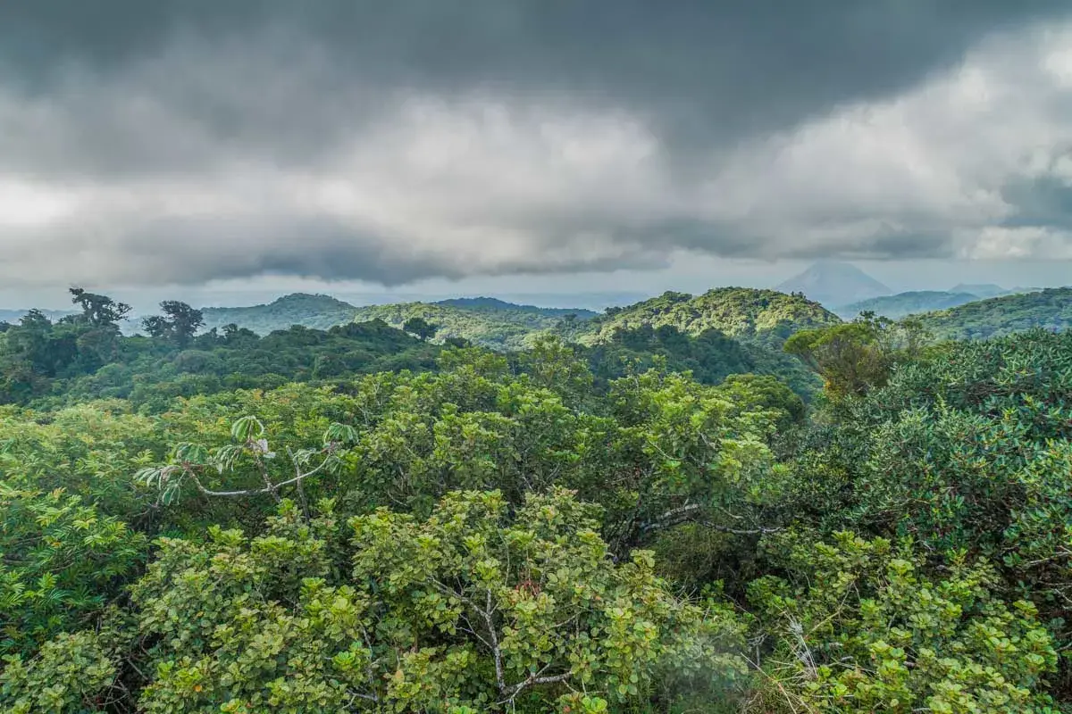 View of Monteverde Cloud forest