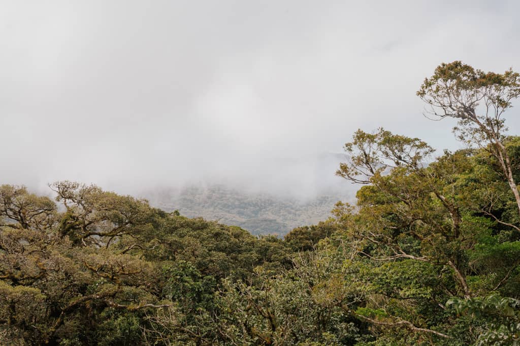 Visiting Monteverde Cloud Forest Reserve, Costa Rica: Ultimate Guide