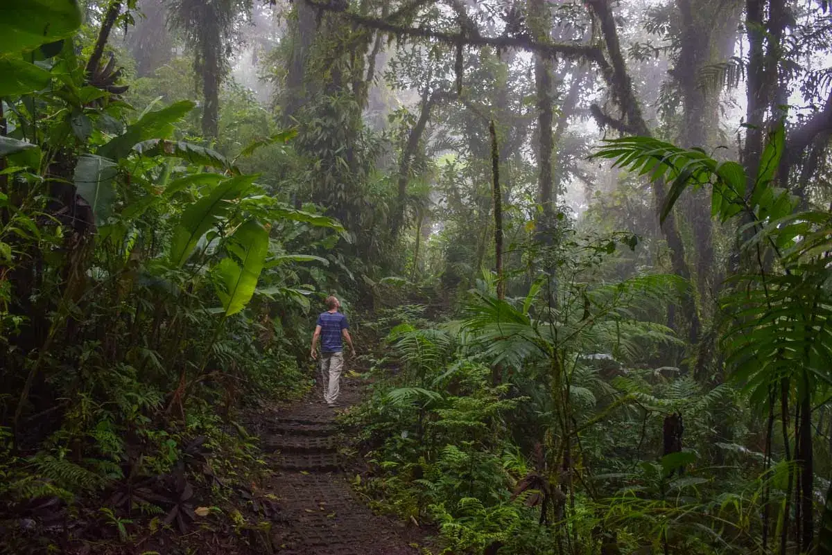 10 BEST Tours to Monteverde Cloud Forest