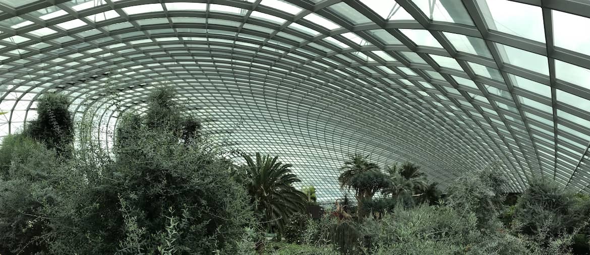 Gardens by the Bay Flower Dome