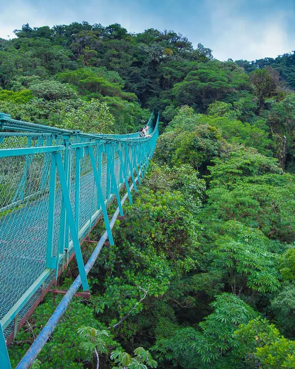 great forest views at Selvatura bridge in Monteverde, Costa Rica