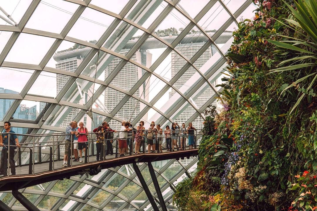 Singapore Gardens by the Bay blog