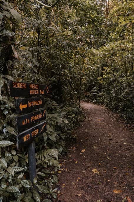 dirt path in Monteverde Cloud Forest reserve