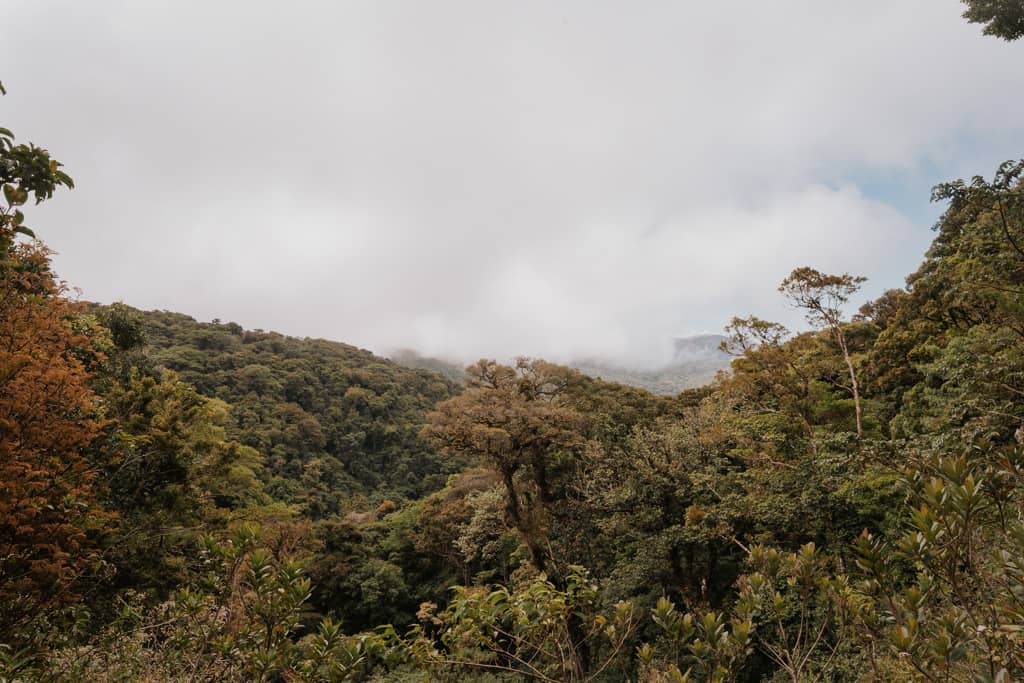 clouds above rainforest canopy at Monteverde Cloud Forest reserve