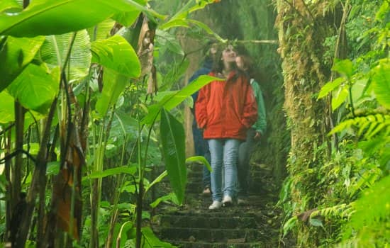 Monteverde: The Ultimate Guide