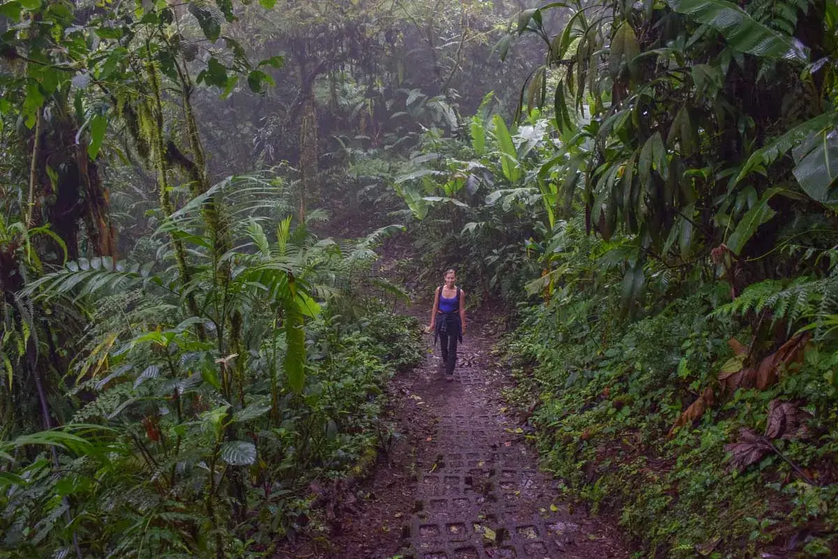 A lady walks through Monteverde Cloud Forest 