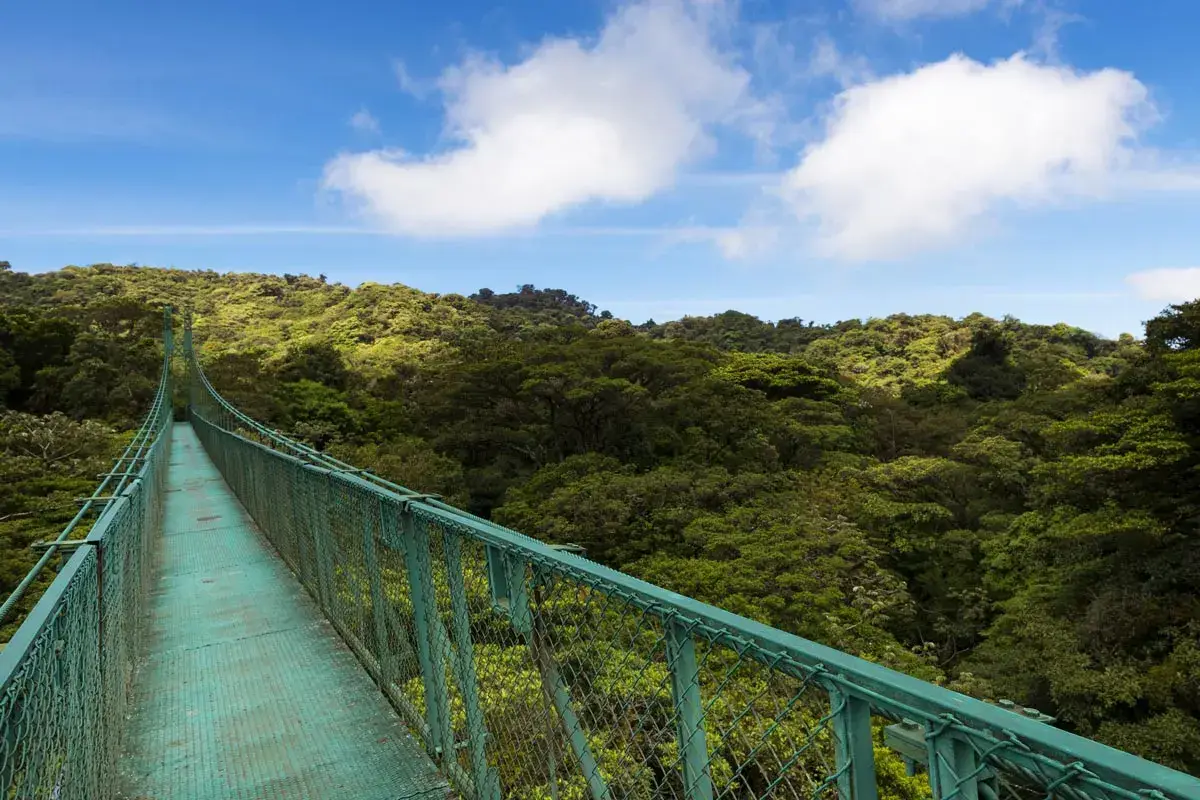 Suspended bridge over the canopy of the trees in Selvatura Park, Monteverde, Costa Rica