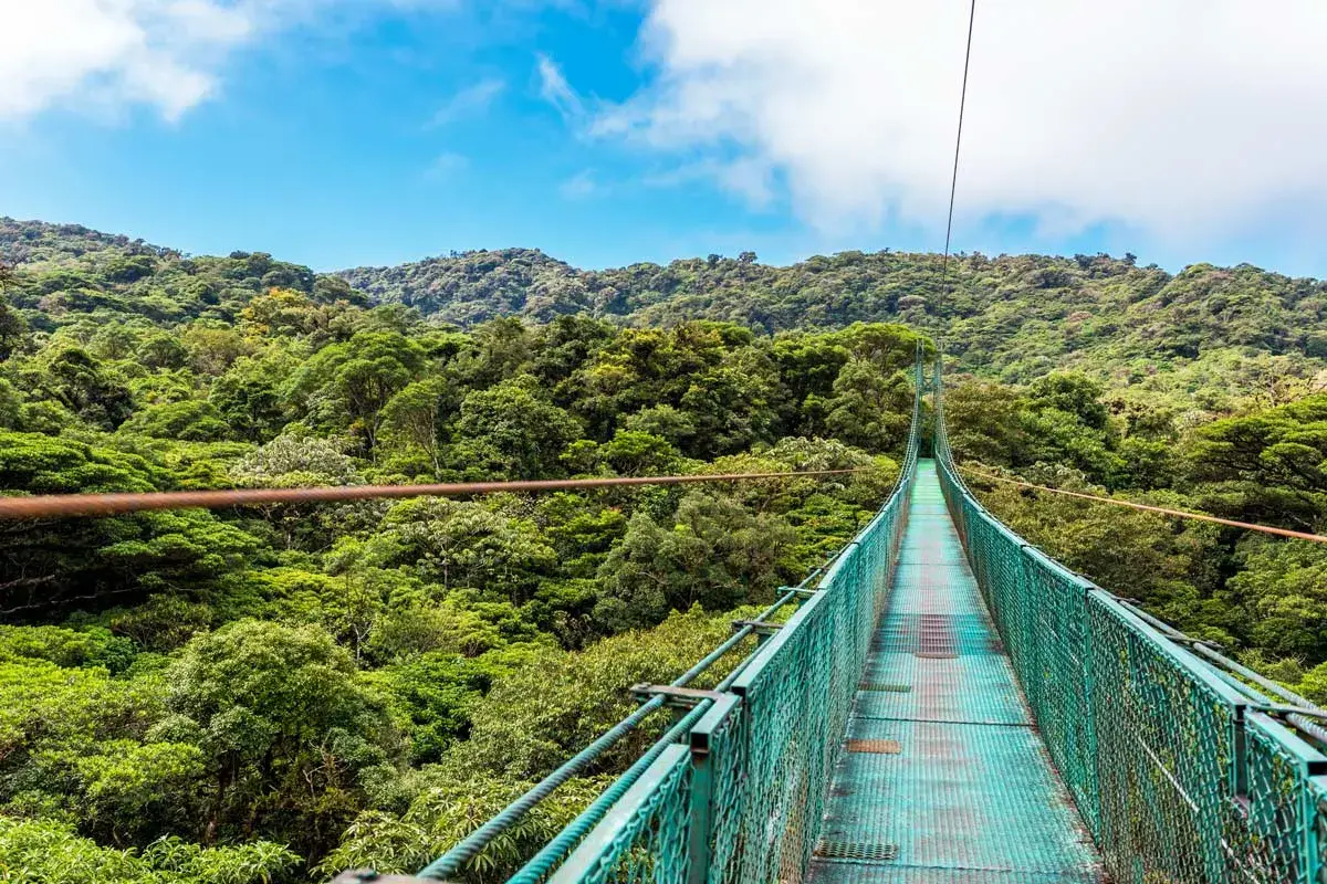 4 BEST Hanging Bridges in Monteverde + How to Visit Them!