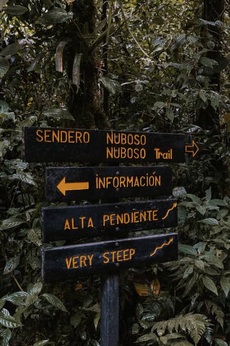 A trail wooden sign with yellow letters for sendero nuboso trail at Monteverde Cloud Forest Biological Preserve