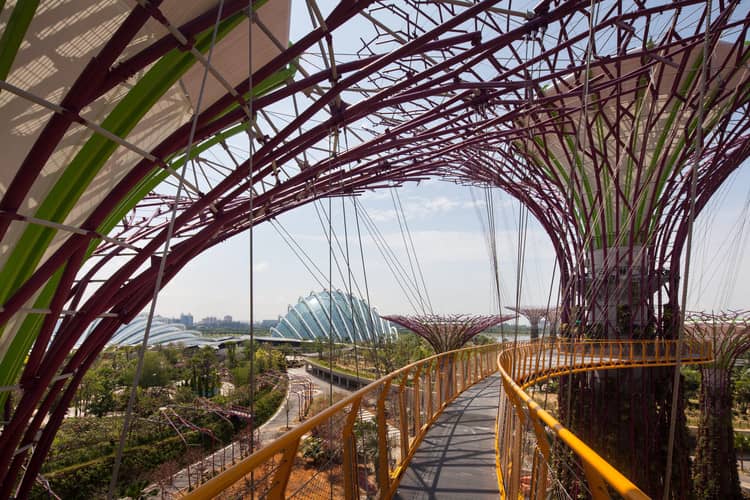 Gardens by the Bay / Grant Associates - Image 9 of 28