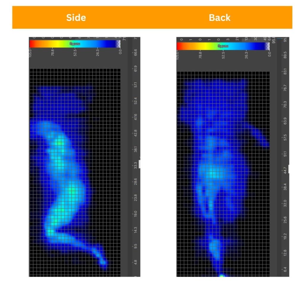 DreamCloud Original Hybrid pressure map Sosha