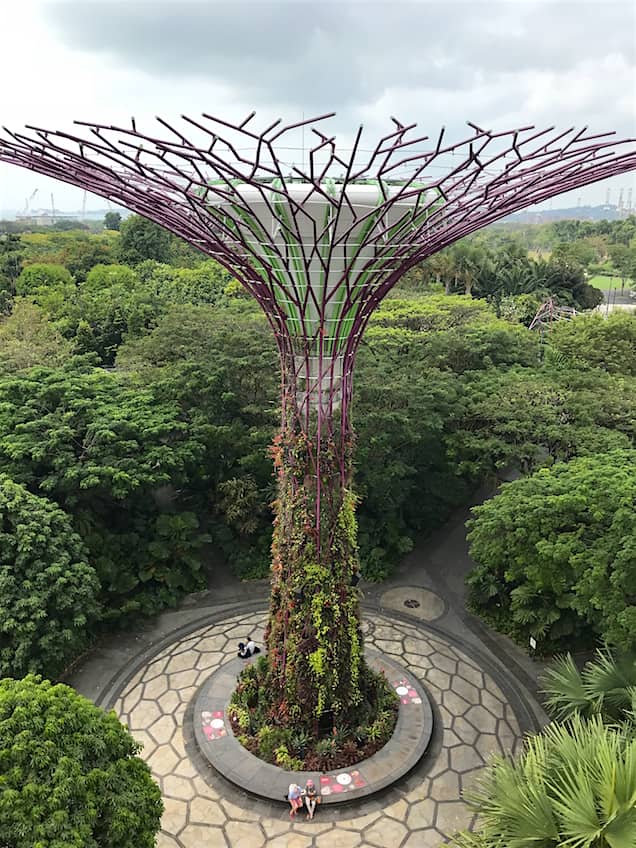 Gardens by the Bay Supertrees