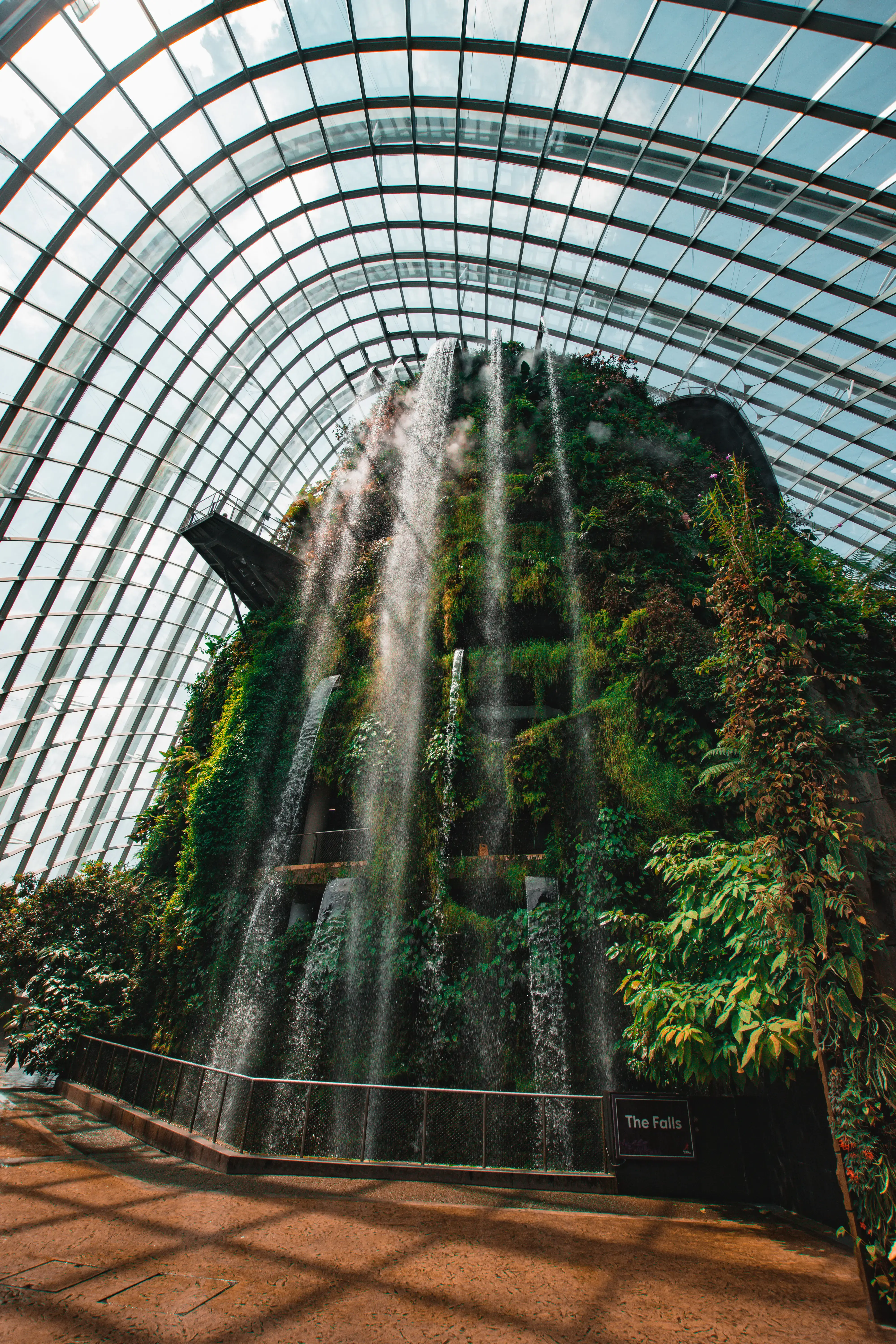 visiter cloud forest singapour